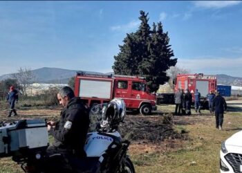 Φριχτός θάνατος μέσα στις φλόγες-Πήγε να κάψει κλαδιά και «κυκλώθηκε» από τη φωτιά