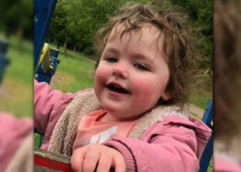 Alldaynews.gr Σκύλος κατασπάραξε 4χρονο κοριτσάκι – Ούρλιαζε η μητέρα, αλλά δεν κατάφερε να το σώσει (video)