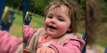 Alldaynews.gr Σκύλος κατασπάραξε 4χρονο κοριτσάκι – Ούρλιαζε η μητέρα, αλλά δεν κατάφερε να το σώσει (video)