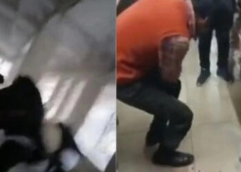 Σκηνές τρόμου: Λεοπάρδαλη κατασπαράζει τουλάχιστον πέντε ανθρώπους αφού εισέβαλε σε γεμάτο δικαστήριο (video)