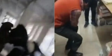 Σκηνές τρόμου: Λεοπάρδαλη κατασπαράζει τουλάχιστον πέντε ανθρώπους αφού εισέβαλε σε γεμάτο δικαστήριο (video)