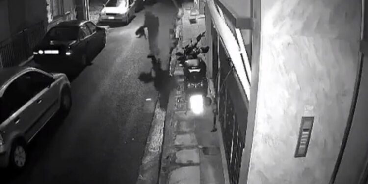 Alldaynews.gr Αθήνα: Βίντεο-σοκ με άνδρα να χτυπάει μέχρι θανάτου γάτα και να την παίρνει μαζί του – Σκληρές εικόνες