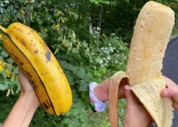 Αυτή είναι η μεγαλύτερη μπανάνα στο κόσμο που έχει ταρακουνήσει το διαδίκτυο