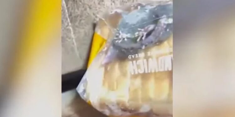 Φρίκη: Παρήγγειλε ψωμί για τοστ και βρήκε έναν ζωντανό αρουραίο στη συσκευασία