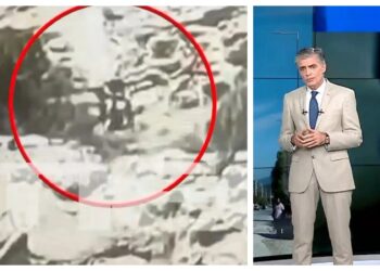 Ευαγγελάτος για Διευθυντή Κυκλοφορίας του ΟΣΕ που σκοτώθηκε: «Δεν οδηγούσε επικίνδυνα, δεν έχει εξήγηση- Υπάρχουν πολλά ερωτήματα»