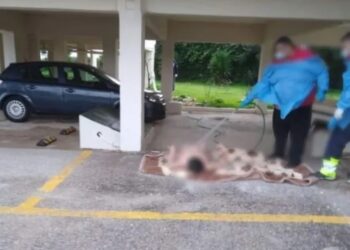 Alldaynews.gr Φρίκη: Έπλυναν με λάστιχο 70χρονη στο γκαράζ για να μη λερώσουν το ασθενοφόρο – Έξαλλος ο δήμαρχος