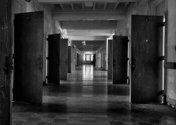 Στο Ψυχιατρείο γνωστή ηθοποιός-Γυρνούσε γυμνή στους δρόμους