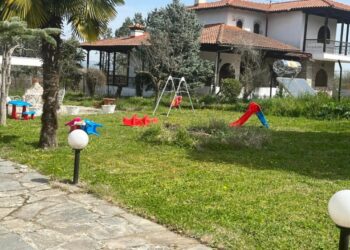 Φρίκη στη Θεσσαλονίκη: «Ήθελε να ανατιναχτεί μαζί με τα παιδιά-Είχε προσπαθήσει να πνίξει τη μητέρα των διδύμων»