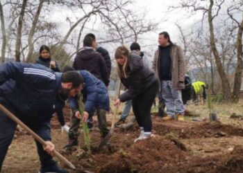 Τέμπη: Φοιτητές από το Καρπενήσι φύτευσαν 57 κυπαρίσσια στην μνήμη των νεκρών