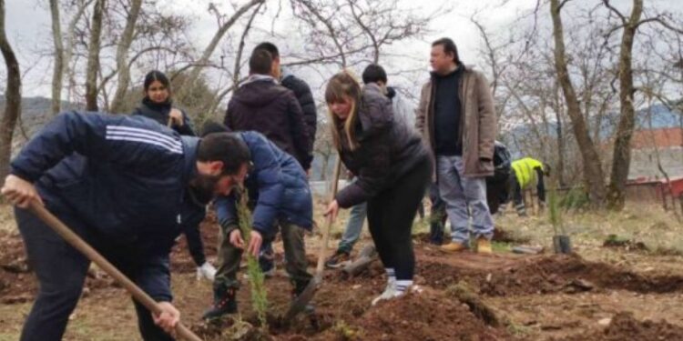 Alldaynews.gr Τέμπη: Φοιτητές από το Καρπενήσι φύτευσαν 57 κυπαρίσσια στην μνήμη των νεκρών