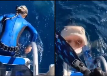 Survivor: Σοκ στην αποχώρηση! Τα χρήματα με τα οποία αποχώρησε