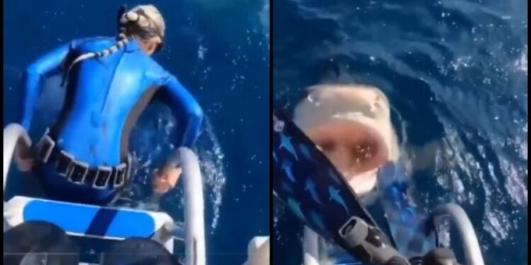 Alldaynews.gr Survivor: Σοκ στην αποχώρηση! Τα χρήματα με τα οποία αποχώρησε