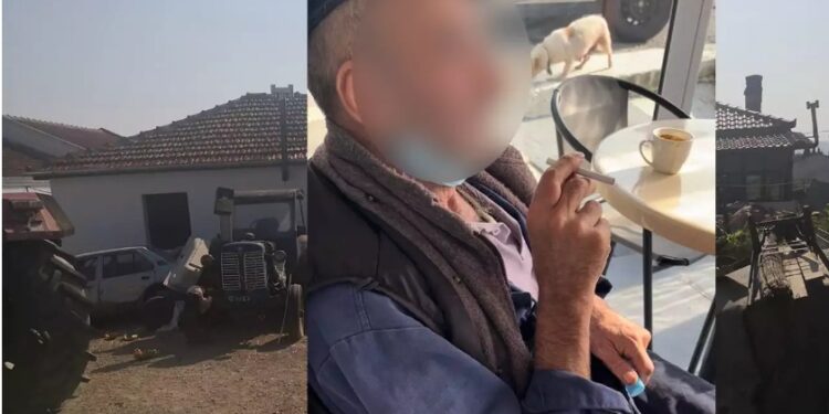 Alldaynews.gr Θεσσαλονίκη: Ποινή «μαμούθ» στον μητροκτόνο που βίaζε και σκότωσε τη μητέρα του