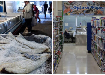 Alldaynews.gr Οι τιμές του μπακαλιάρου στα σούπερ μάρκετ – Δείτε τη λίστα