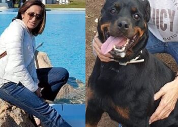 Φρικτός θάνατος για 53χρονη – Την κατασπάραξε ροτβάιλερ που πήγε να ταΐσει