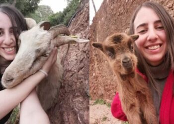 «Είμαι βλάχα κι είμαι περήφανη»: Η 22χρονη κτηνοτρόφος που κάνει βιντεάκια στο μαντρί και τα «σπάει» στο TikTok