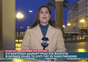 Χωρίς οίκτο: Ηλικιωμένος 81 ετών στη Χαλκιδική χάνει το σπίτι του σε πλειστηριασμό (video)