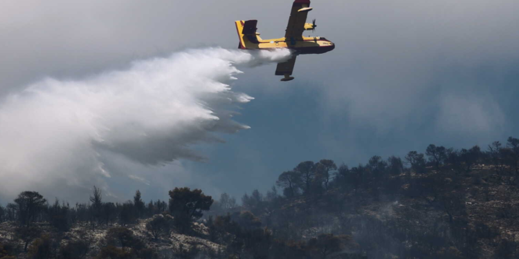 Μεγάλη φωτιά στα Μέγαρα – Σηκώθηκαν και δύο αεροσκάφη