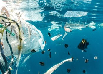 Προσεχώς νέοι κανόνες για μικροπλαστικά – Περιέρχονται σε καλλυντικά, βαφές και σκουπίδια