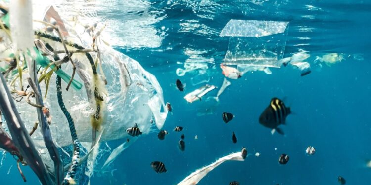 Alldaynews.gr Προσεχώς νέοι κανόνες για μικροπλαστικά – Περιέρχονται σε καλλυντικά, βαφές και σκουπίδια