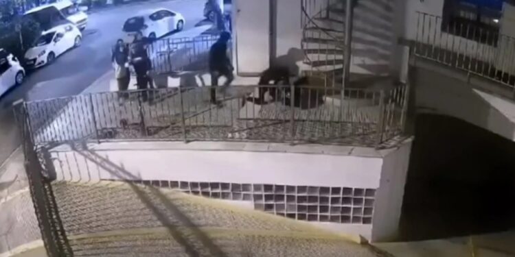 Alldaynews.gr Νέος Κόσμος: Η στιγμή που 16χρονοι ξυλοκοπούν 17χρονο
