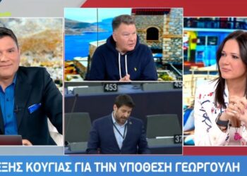 Κούγιας για υπόθεση Γεωργούλη: «Εδώ βλέπω μια περίεργη ιστορία»