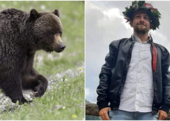 Ασύλληπτη Τραγωδία: Αρκούδα σκότωσε 26χρονο που έκανε τζόκινγκ[photo]