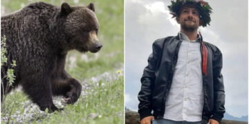 Ασύλληπτη Τραγωδία: Αρκούδα σκότωσε 26χρονο που έκανε τζόκινγκ[photo]