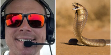 Πιλότος βρήκε κόμπρα κάτω από τη θέση του, εν ώρα πτήσης και έκανε αναγκαστική προσγείωση