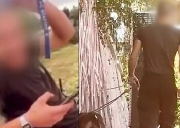 Πρώην παίκτης ριάλιτι ο ιδιοκτήτης πίτμπουλ που αφήνει τον σκύλο να σκοτώνει γάτες-Δείτε Φωτογραφίες