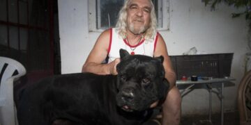 Alldaynews.gr Χαλκιδική: «Μου ζήτησε 2.000 ευρώ, δεν τα έδωσα και είπε ότι τη βίασα» λέει ο «ξανθός μάγος» για τη 16χρονη βαπτιστήρα του