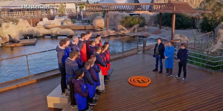 Alldaynews.gr Όλα πήγαν λάθος σε Masterchef – 44 άτομα έπαθαν τροφική δηλητηρίαση από πιάτα των διαγωνιζόμενων