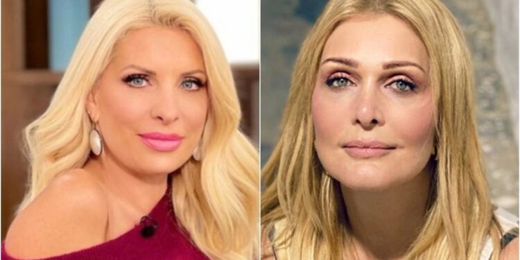 Alldaynews.gr Ελένη Μενεγάκη: «Ζητώ συγγνώμη από τη Νατάσα Θεοδωρίδου, δεν το ήξερα»