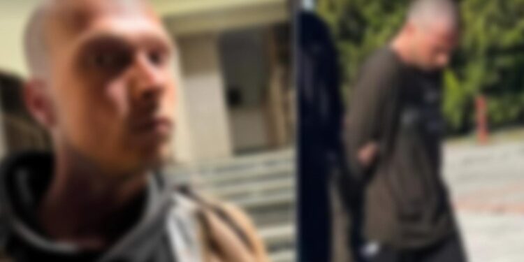 Alldaynews.gr Θεσσαλονίκη: «Τη σκότωσα για να την λυτρώσω, εκείνη μου το ζητούσε», λέει ο μητροκτόνος