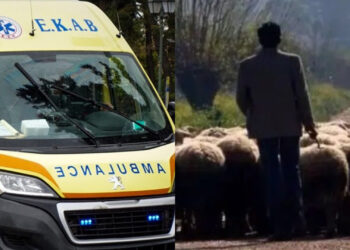 Alldaynews.gr Φάρσαλα: «Σάπισαν στο ξύλο» βοσκό με ένα ρόπαλο