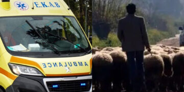 Φάρσαλα: «Σάπισαν στο ξύλο» βοσκό με ένα ρόπαλο