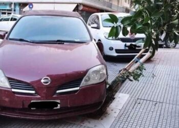 Alldaynews.gr Θεσσαλονίκη: Πάρκαρε το αυτοκίνητό του πάνω σε δέντρο και το ρήμαξε
