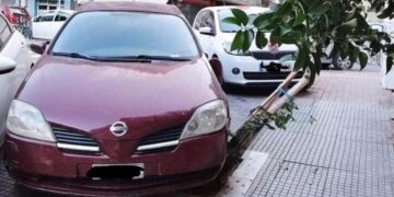 Θεσσαλονίκη: Πάρκαρε το αυτοκίνητό του πάνω σε δέντρο και το ρήμαξε