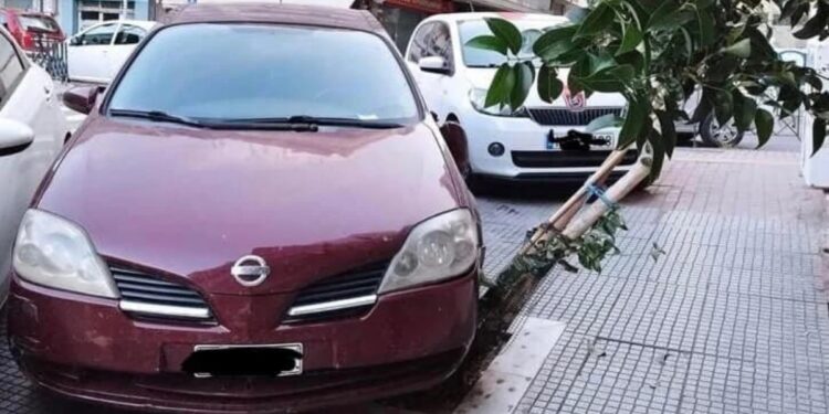 Θεσσαλονίκη: Πάρκαρε το αυτοκίνητό του πάνω σε δέντρο και το ρήμαξε
