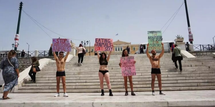 Alldaynews.gr Vegan: Και ημίγυμνοι βίγκαν ακτιβιστές στο Σύνταγμα