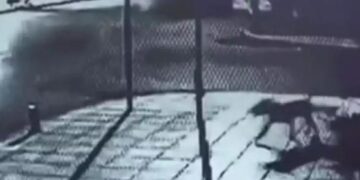 Alldaynews.gr Ποινή φυλάκισης 5,5 ετών στον 27χρονο που μαχαίρωσε σκύλο μέχρι θανάτου στη Θεσσαλονίκη – Σοκάρει το βίντεο