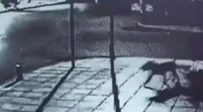 Alldaynews.gr Ποινή φυλάκισης 5,5 ετών στον 27χρονο που μαχαίρωσε σκύλο μέχρι θανάτου στη Θεσσαλονίκη – Σοκάρει το βίντεο