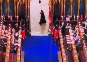 Βασιλιάς Κάρολος: Σοκ με τον Χάρο που εμφανίστηκε στην τελετή στέψης[video]