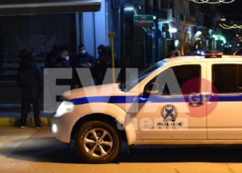 Εύβοια: Σκυλί επιτέθηκε σε ανήλικο στα Ψαχνά – Στο αυτόφωρο πατέρας που προσπάθησε να το προστατεύσει