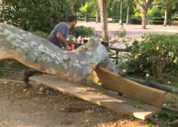 Παραλίγο τραγωδία στο Ζάππειο– Έσπασε κλαδί και καταπλάκωσε τρεις τουρίστες