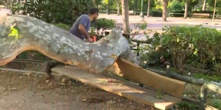 Alldaynews.gr Παραλίγο τραγωδία στο Ζάππειο– Έσπασε κλαδί και καταπλάκωσε τρεις τουρίστες