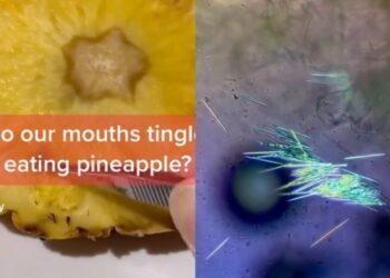 Απίθανη θεωρία στο TikTok για τον ανανά υποστηρίζει πως «δεν τον τρως, σε τρώει»: Προκάλεσε χαμό στα social media (vid)