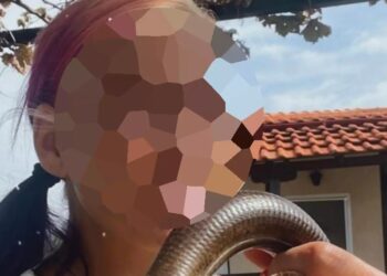 Αυτή είναι η άτυχη Ερπετολόγος που την δάγκωσε Οχιά για να μην κινδυνεύσουν παιδιά-Δίνει μάχη για τη ζωή της στο νοσοκομείο