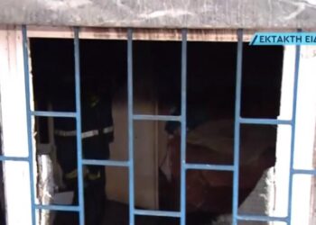 Τραγωδία στο Αιγάλεω: Κάηκε ζωντανή γυναίκα με το σκυλάκι της – “Φώναζε βοήθεια” λέει αυτόπτης μάρτυρας