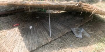 Alldaynews.gr Παραλίγο τραγωδία με 16χρονη σε παιδική χαρά στη Νάξο: Έπεσε στο κεφάλι της ξύλινη κολώνα